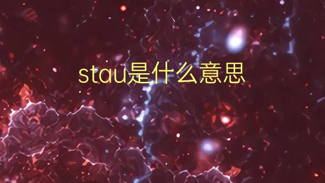 stau是什么意思 stau的翻译、读音、例句、中文解释