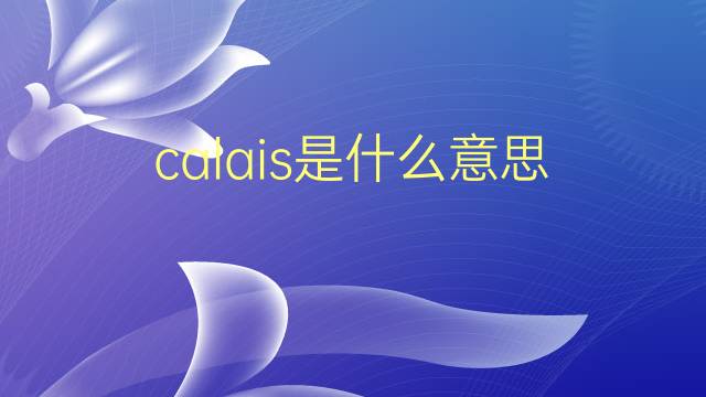 calais是什么意思 calais的翻译、读音、例句、中文解释