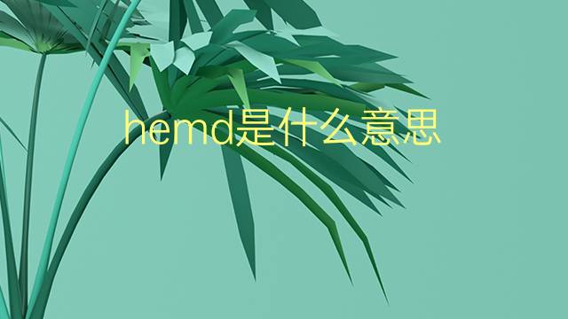 hemd是什么意思 hemd的翻译、读音、例句、中文解释