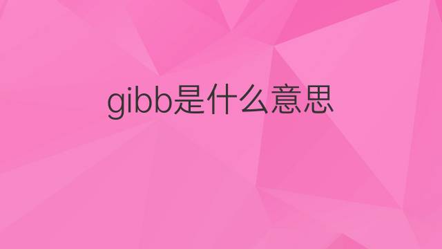 gibb是什么意思 英文名gibb的翻译、发音、来源