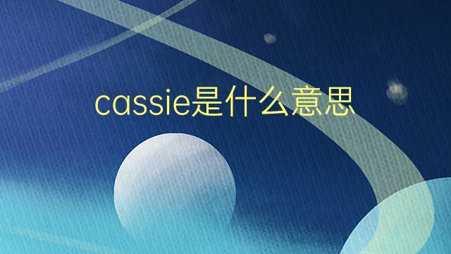 cassie是什么意思 cassie的翻译、读音、例句、中文解释