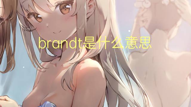 brandt是什么意思 brandt的翻译、读音、例句、中文解释