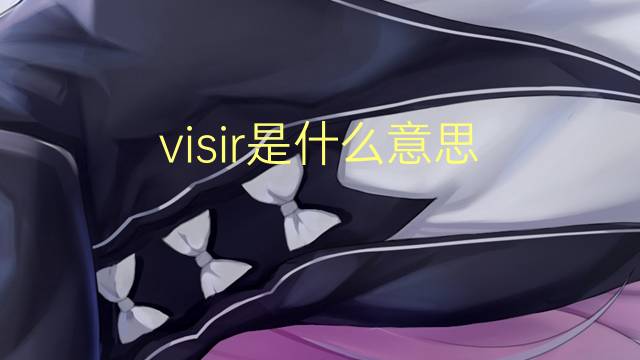 visir是什么意思 visir的翻译、读音、例句、中文解释