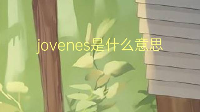 jovenes是什么意思 jovenes的翻译、读音、例句、中文解释