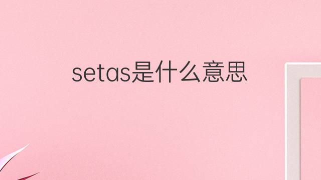 setas是什么意思 setas的翻译、读音、例句、中文解释