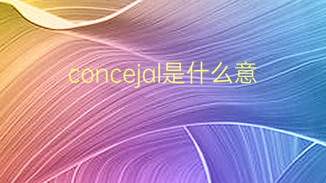 concejal是什么意思 concejal的翻译、读音、例句、中文解释