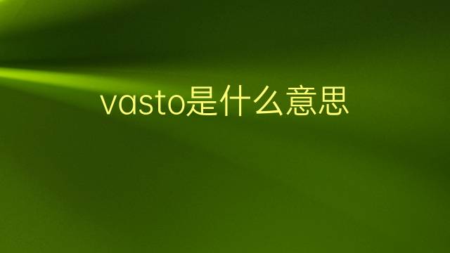 vasto是什么意思 vasto的翻译、读音、例句、中文解释