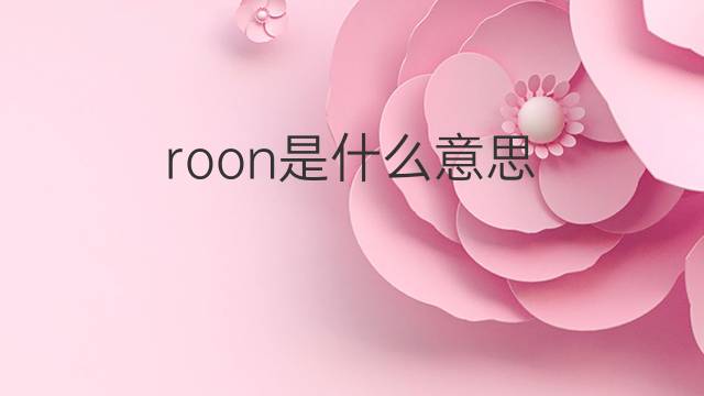 roon是什么意思 英文名roon的翻译、发音、来源