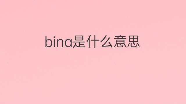 bina是什么意思 bina的翻译、读音、例句、中文解释