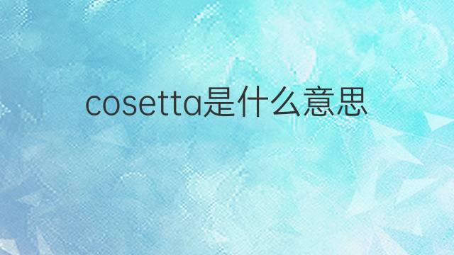 cosetta是什么意思 cosetta的翻译、读音、例句、中文解释