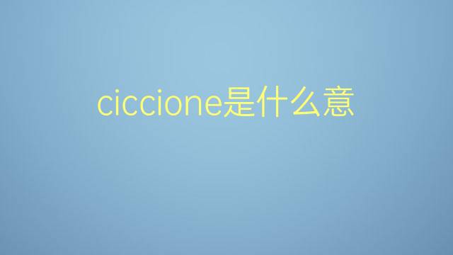 ciccione是什么意思 ciccione的翻译、读音、例句、中文解释