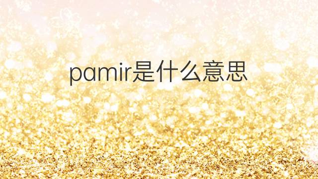 pamir是什么意思 pamir的翻译、读音、例句、中文解释