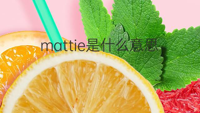 mattie是什么意思 mattie的翻译、读音、例句、中文解释