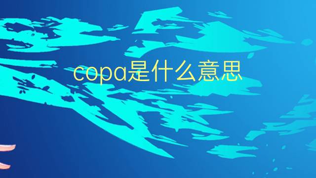 copa是什么意思 copa的翻译、读音、例句、中文解释