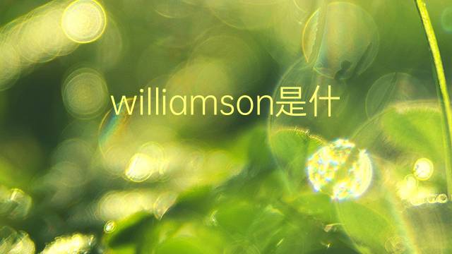 williamson是什么意思 williamson的翻译、读音、例句、中文解释