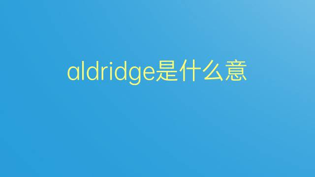 aldridge是什么意思 aldridge的翻译、读音、例句、中文解释