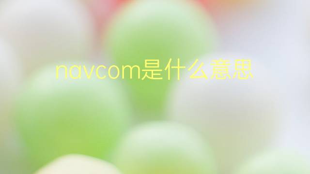 navcom是什么意思 navcom的翻译、读音、例句、中文解释