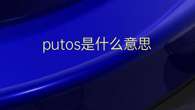 putos是什么意思 putos的翻译、读音、例句、中文解释