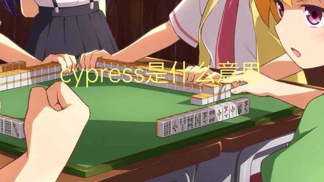 cypress是什么意思 cypress的翻译、读音、例句、中文解释