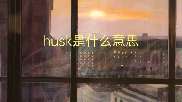 husk是什么意思 husk的翻译、读音、例句、中文解释