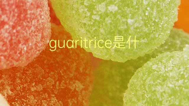 guaritrice是什么意思 guaritrice的翻译、读音、例句、中文解释