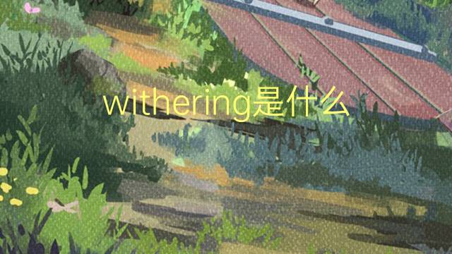 withering是什么意思 withering的翻译、读音、例句、中文解释