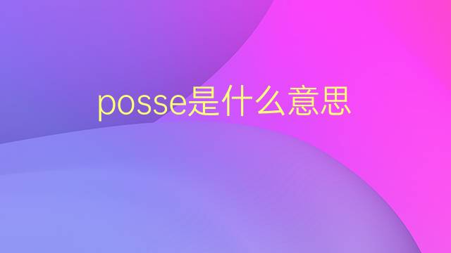 posse是什么意思 posse的翻译、读音、例句、中文解释