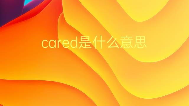 cared是什么意思 cared的翻译、读音、例句、中文解释