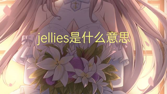 jellies是什么意思 jellies的翻译、读音、例句、中文解释