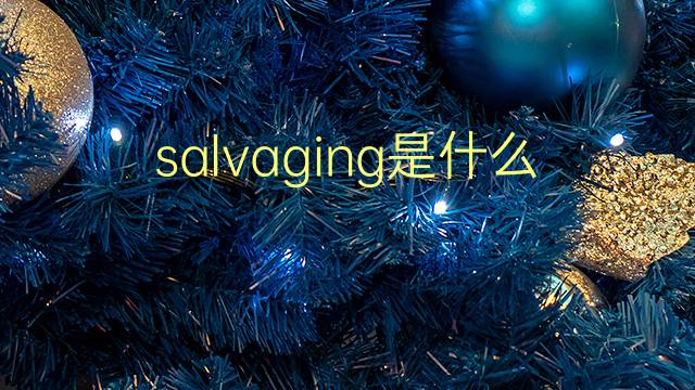 salvaging是什么意思 salvaging的翻译、读音、例句、中文解释