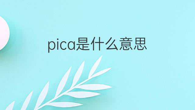 pica是什么意思 pica的翻译、读音、例句、中文解释