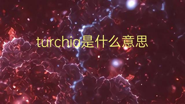 turchia是什么意思 turchia的翻译、读音、例句、中文解释