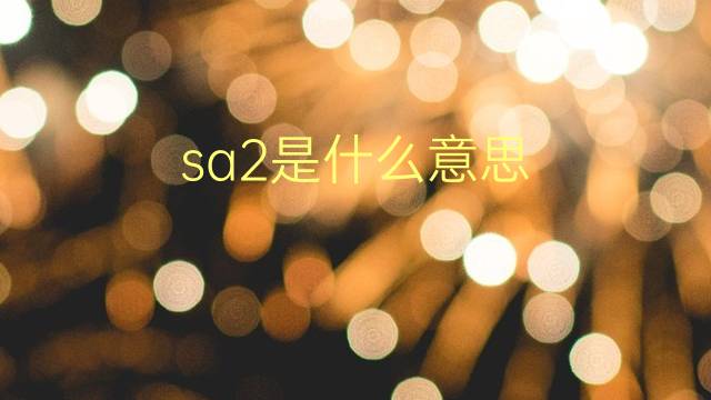 sa2是什么意思 sa2的翻译、读音、例句、中文解释