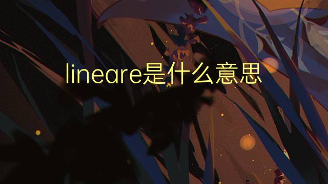 lineare是什么意思 lineare的翻译、读音、例句、中文解释