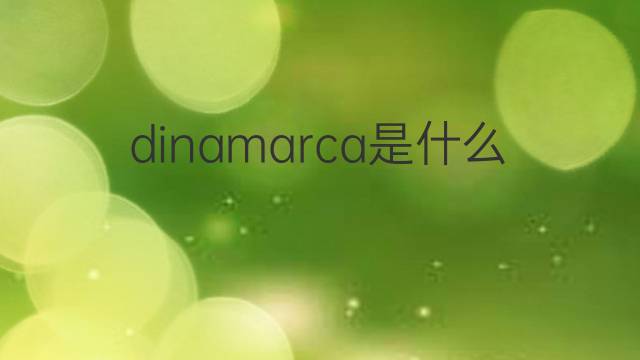 dinamarca是什么意思 dinamarca的翻译、读音、例句、中文解释