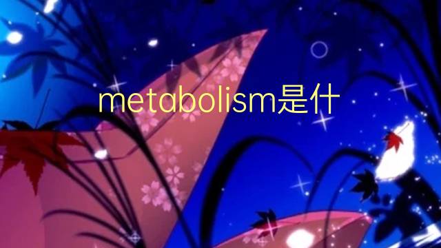 metabolism是什么意思 metabolism的翻译、读音、例句、中文解释