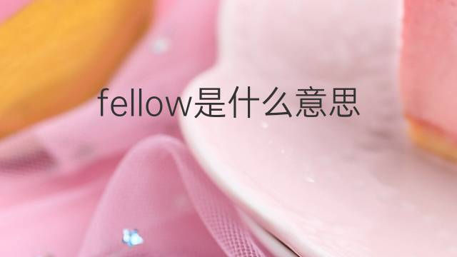 fellow是什么意思 fellow的翻译、读音、例句、中文解释