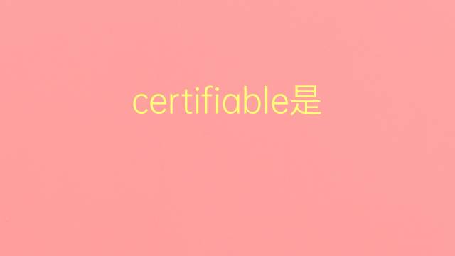 certifiable是什么意思 certifiable的翻译、读音、例句、中文解释