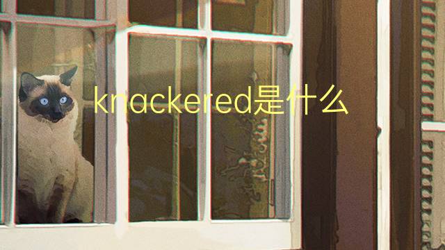 knackered是什么意思 knackered的翻译、读音、例句、中文解释