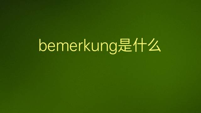 bemerkung是什么意思 bemerkung的翻译、读音、例句、中文解释