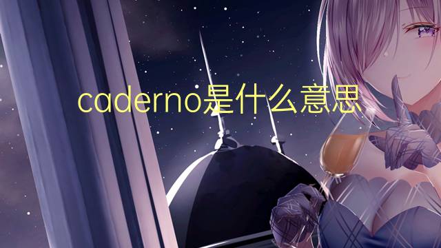 caderno是什么意思 caderno的翻译、读音、例句、中文解释