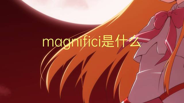 magnifici是什么意思 magnifici的翻译、读音、例句、中文解释