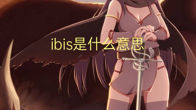 ibis是什么意思 ibis的翻译、读音、例句、中文解释