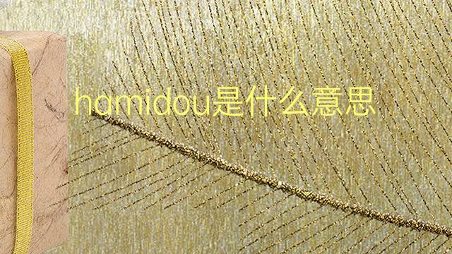 hamidou是什么意思 hamidou的翻译、读音、例句、中文解释