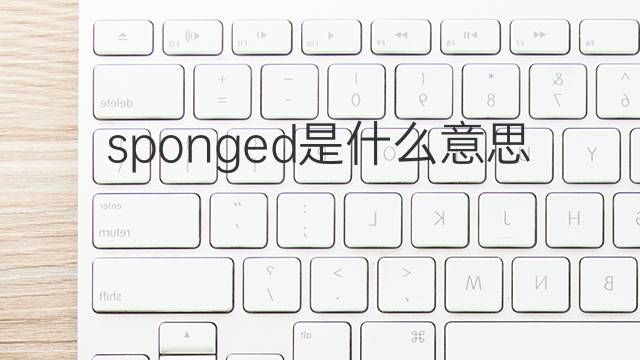 sponged是什么意思 sponged的翻译、读音、例句、中文解释