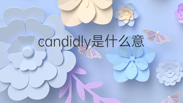 candidly是什么意思 candidly的翻译、读音、例句、中文解释