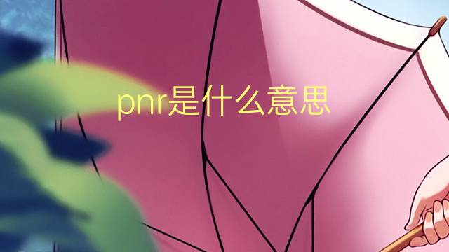 pnr是什么意思 pnr的翻译、读音、例句、中文解释