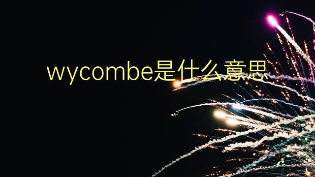 wycombe是什么意思 wycombe的翻译、读音、例句、中文解释