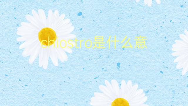 chiostro是什么意思 chiostro的翻译、读音、例句、中文解释