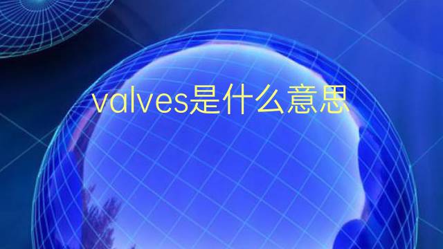 valves是什么意思 valves的翻译、读音、例句、中文解释